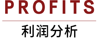 利润分析