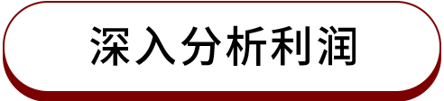深入分析利润