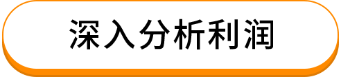 深入分析利润